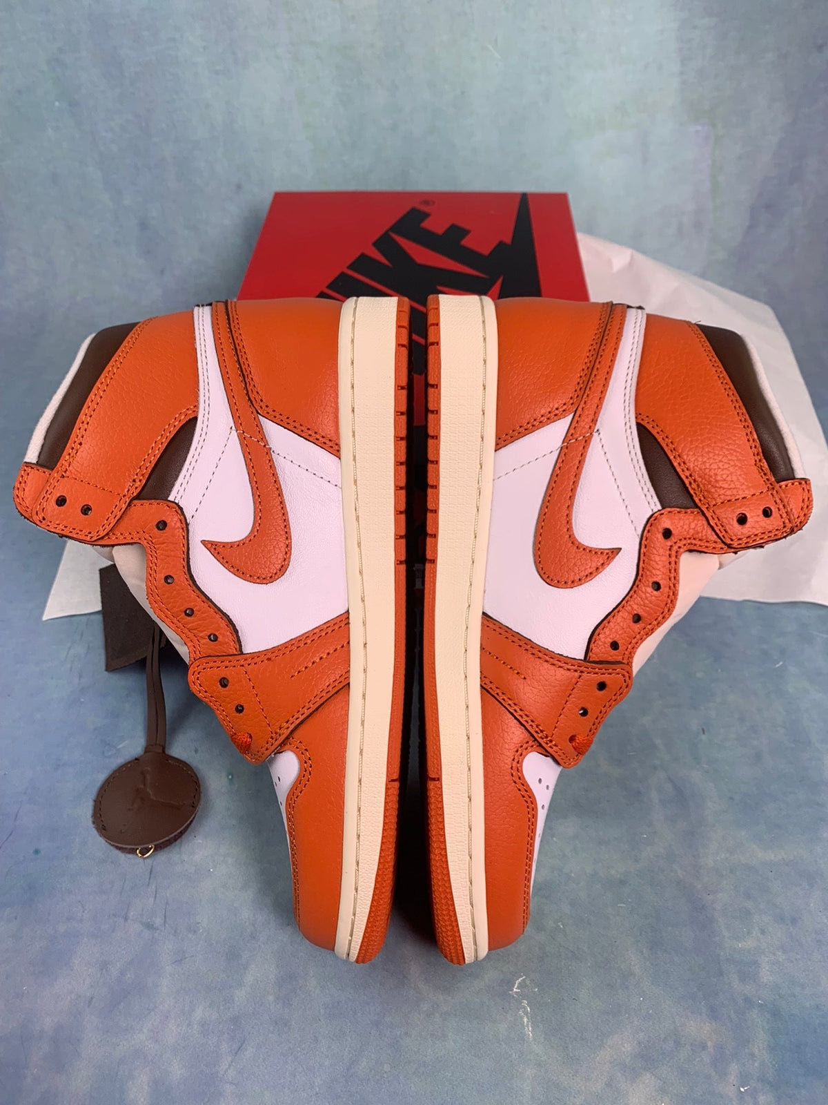 Air Jordan 1 High-Top Men's Sneakers