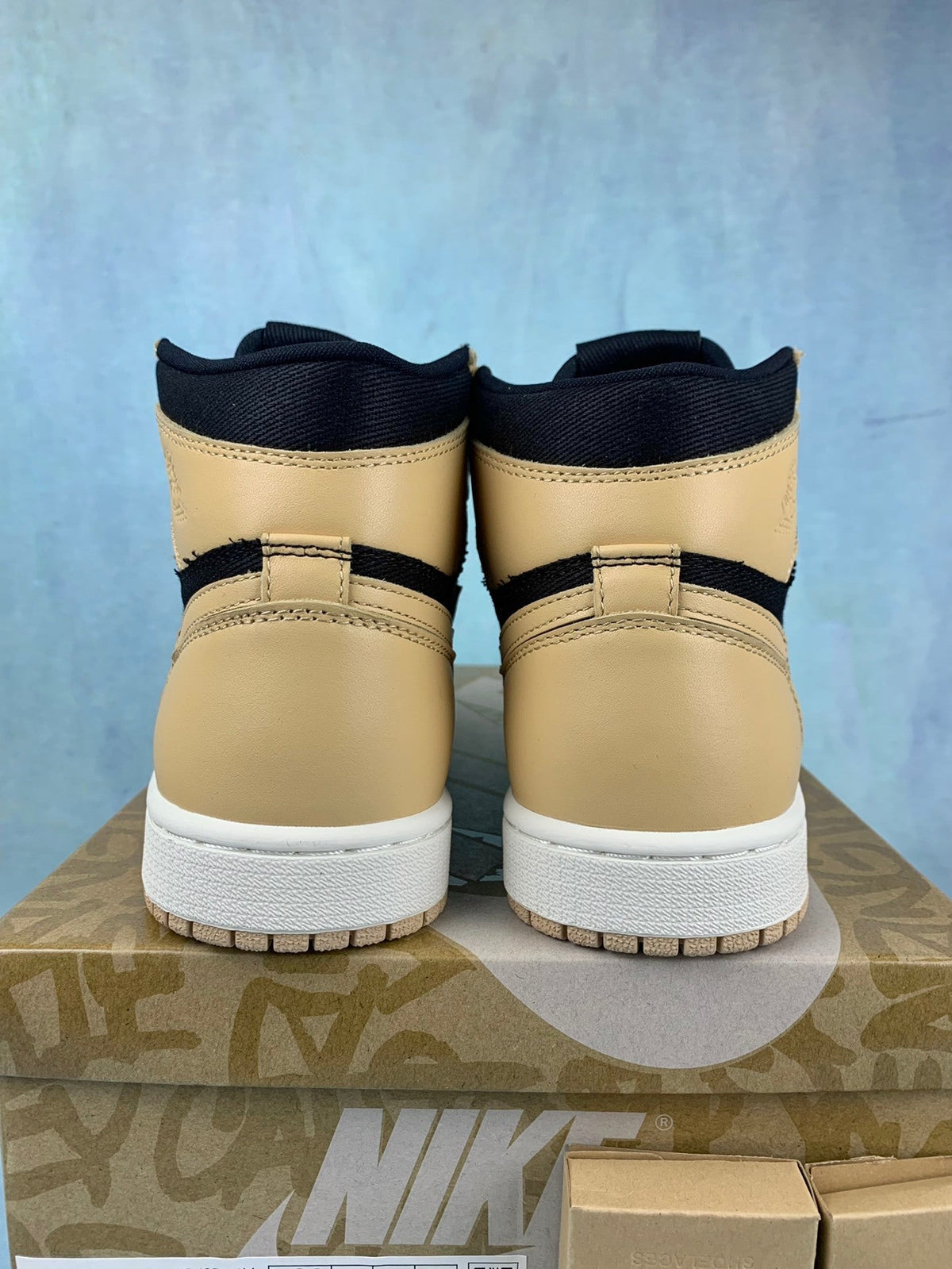 Air Jordan 1 High-Top Sneakers (Men's & Women's)
